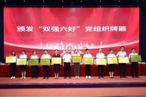 喜报！乐鱼官方网站,乐鱼leyu(中国)
集团党支部荣获广州市非公有制经济组织“双强六好”党