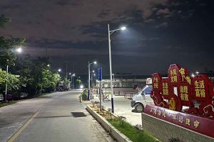 乐鱼官方网站,乐鱼leyu(中国)
集团罗宁弟爱心捐赠路灯，点亮乡村路温暖乡民心